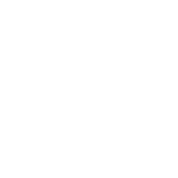ProwNetwork server icon
