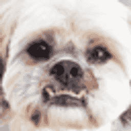 Dumbledores Army server icon