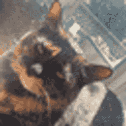 PixelCatSMP Season 3 server icon