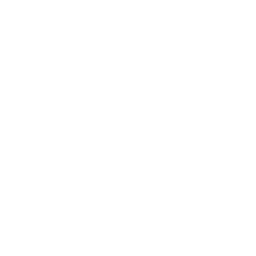 Sapphire server icon