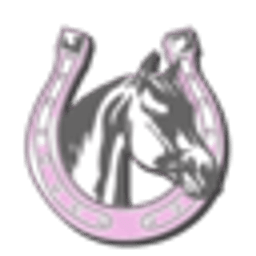 Equestrifun server icon