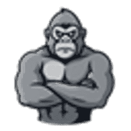 GORİLLAMC server icon