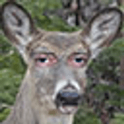 Dumbledores Army server icon