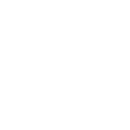 RainyDay server icon