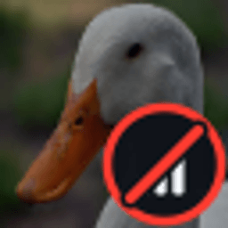 Ducks Anarchy server icon