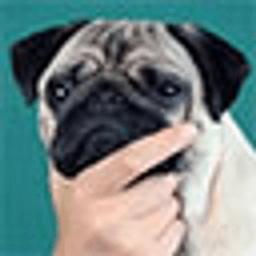 Towny Reforged server icon