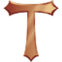 Torrent Network server icon