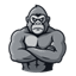 GORİLLAMC server icon