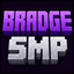 Bradge SMP server icon