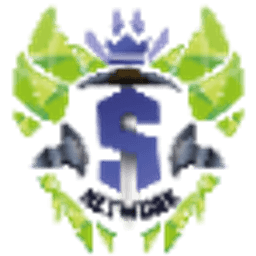 Saloon.network server icon