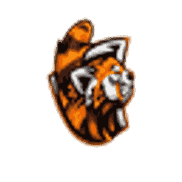 ClastieNetwork server icon