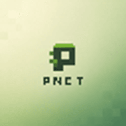 PlayNetwork SMP server icon