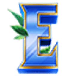 Everplay Network server icon