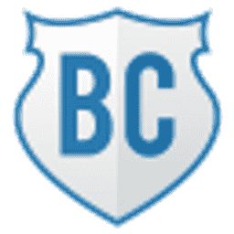 BizzCraft server icon