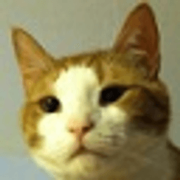 CatsCraft server icon