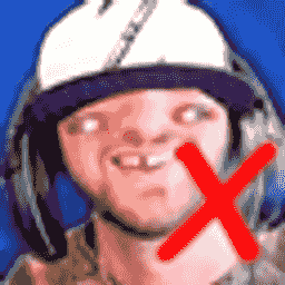 Dumbshit Survival X server icon