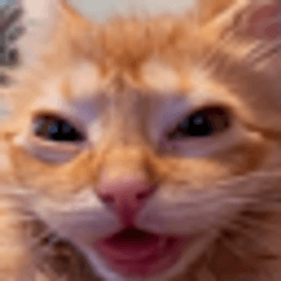 Mokoko! Community server icon