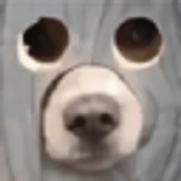 TakoLOL server icon