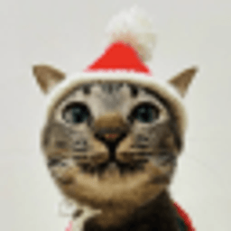 hr's Server server icon
