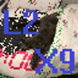 L2X9.com server icon