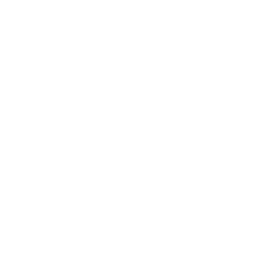 Avenian Network server icon