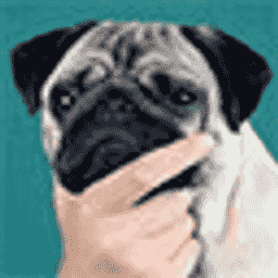 Invincible Anarchy server icon