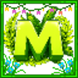 Meraki server icon