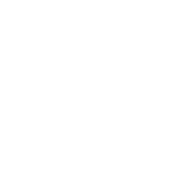 SOLACE SMP server icon