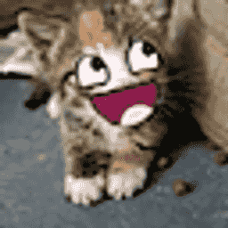 Furry Paradise server icon
