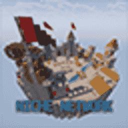 Niche Network server icon