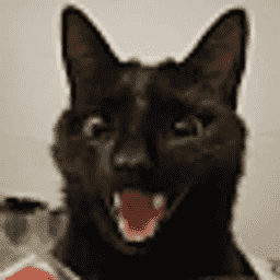 Furry Paradise server icon