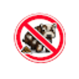 No BS SMP server icon