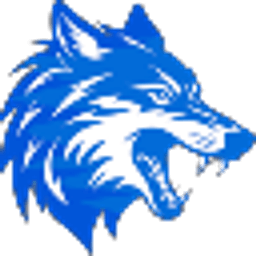 NAVELYA NETWORK server icon