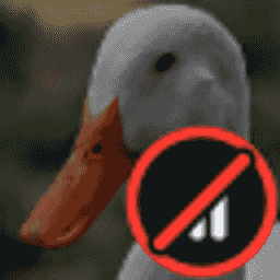 Ducks Anarchy server icon