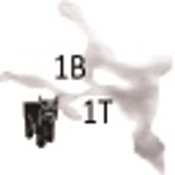1b1t.cloud server icon