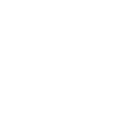 Avenian Network server icon